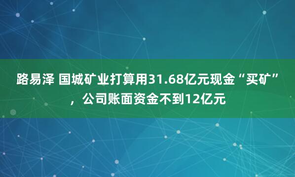 路易泽 国城矿业打算用31.68亿元现金“买矿”，公司账面资金不到12亿元