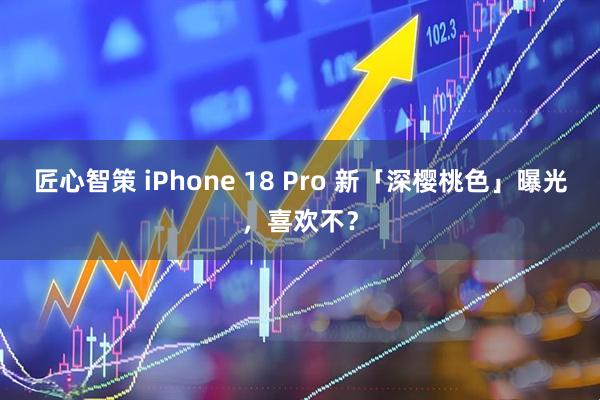 匠心智策 iPhone 18 Pro 新「深樱桃色」曝光，喜欢不？