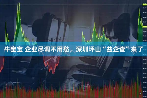 牛宝宝 企业尽调不用愁，深圳坪山“益企查”来了